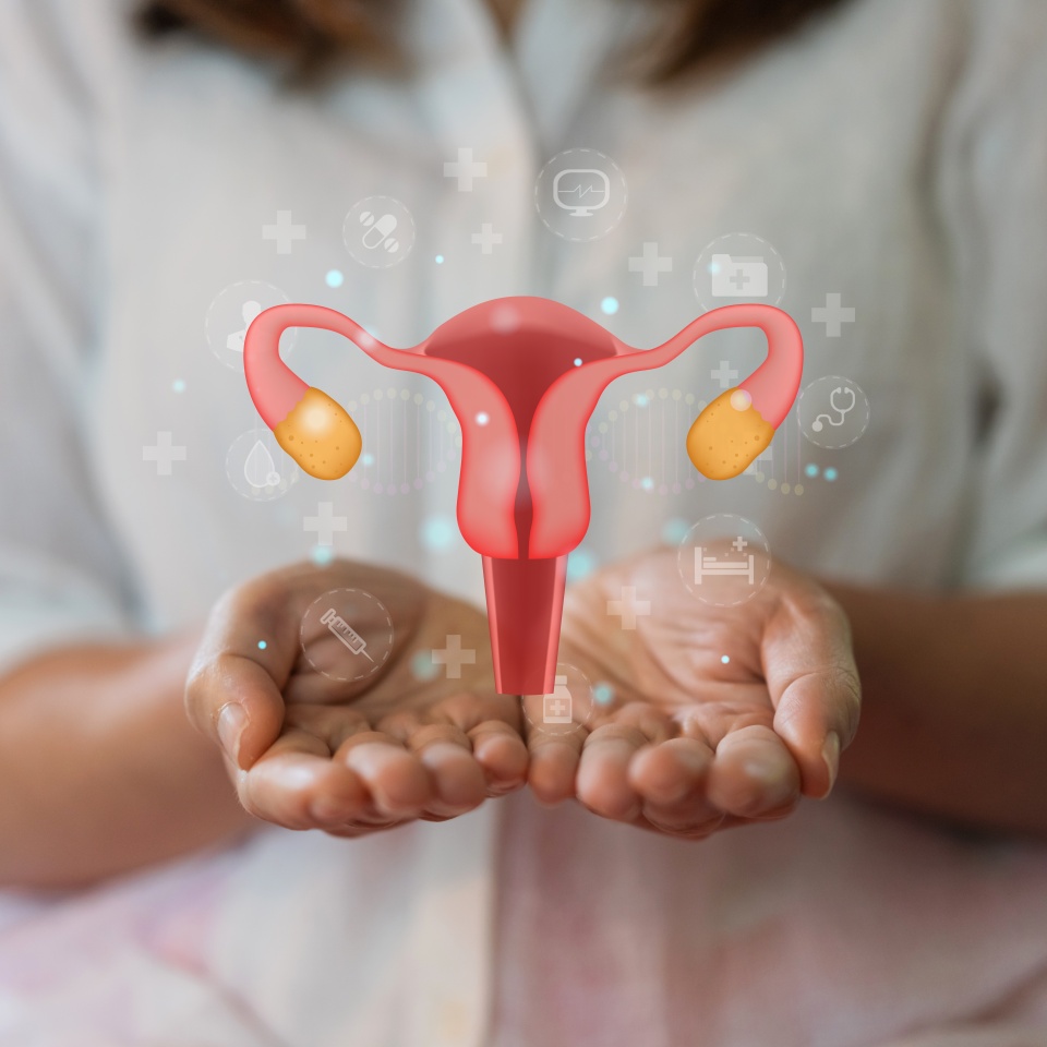 Woman holding uterus health therapy care checkup, reproductive system, HPV, papillomavirus, HPV vaccine, cervical cancer, stomach ache, insurance and hospital, Woman healthcare